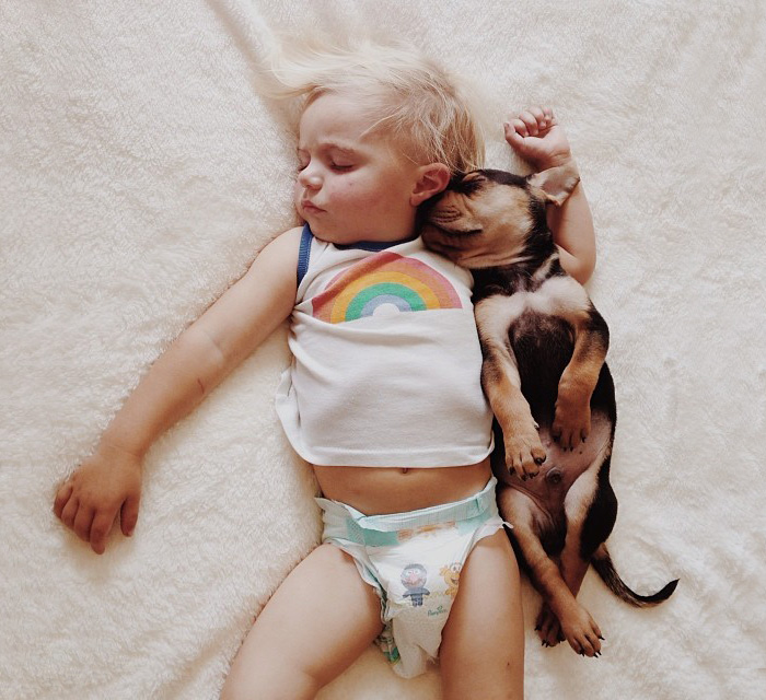 Napping Duo: Beau And His Puppy Theo