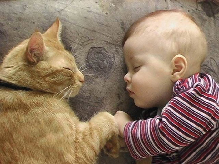 Baby Sleeping With Cat