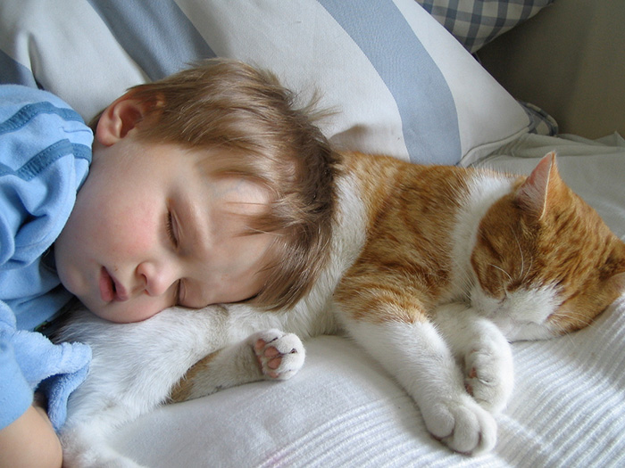 Baby Sleeping With A Cat