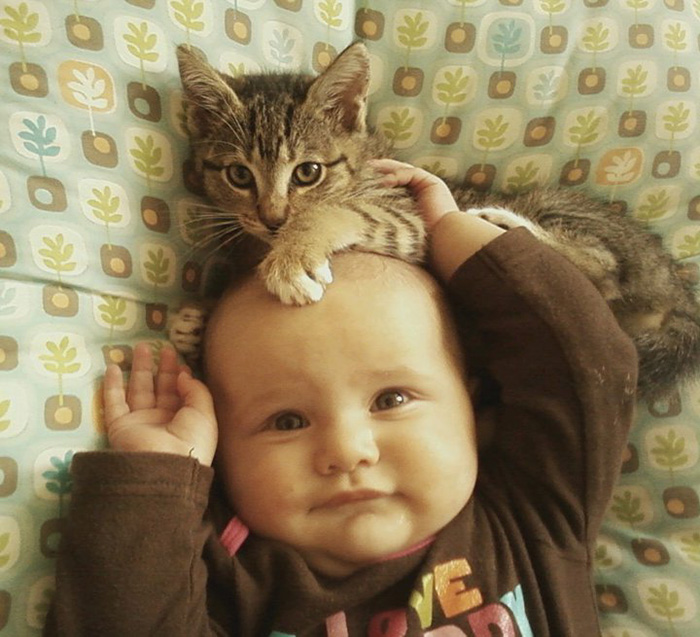 My Kitten Tempe Is Giving My Daughter A Head Massage