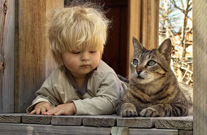 Boy And His Cat