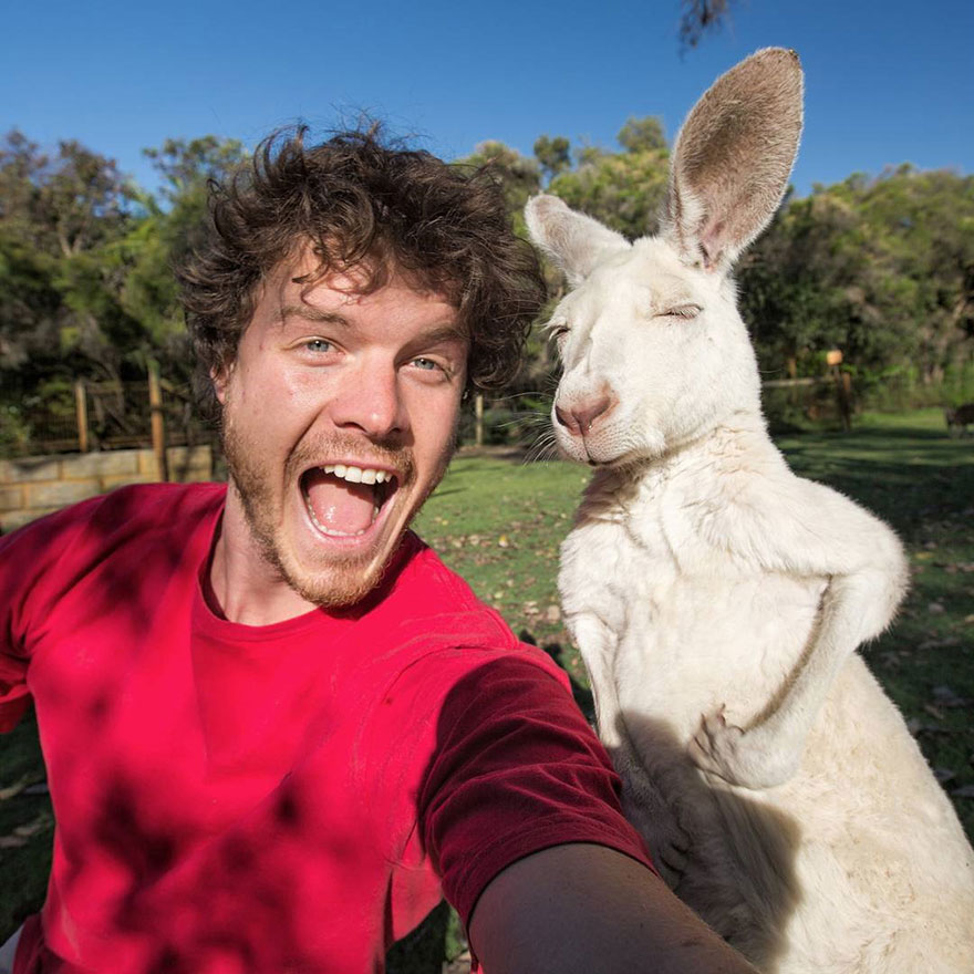 This Man Mastered The Art Of Animal Selfies