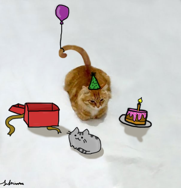 Unhappy Birthday