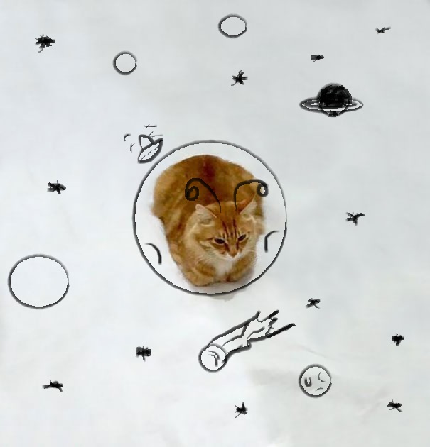 Kitty In Space