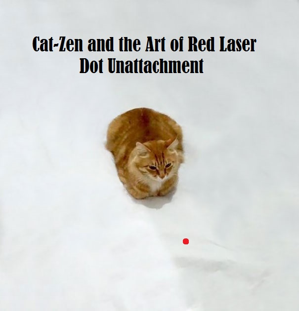 Cat -zen And The Art Of Red Laser Dot Detachment