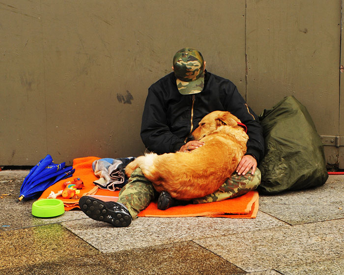Homeless Man Taking Care Of His Sleeping Dog