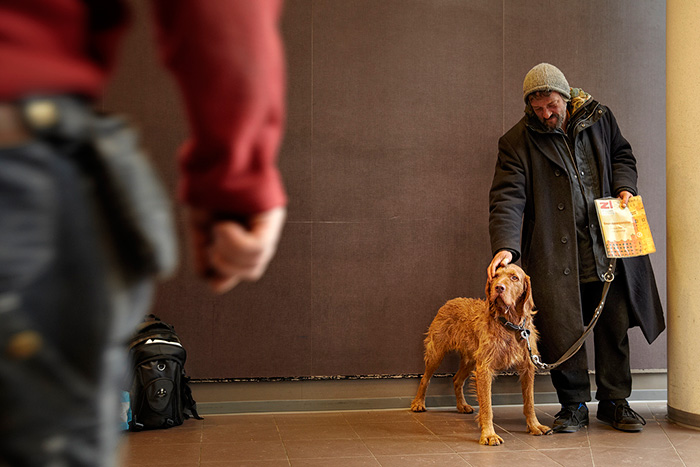 This Homeless Man Takes Good Care Of Supermarket's Customers' Dogs