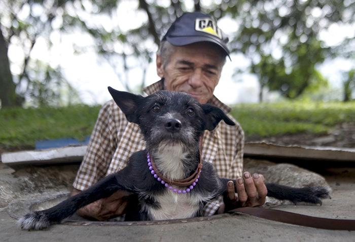 Homeless Man Helps His Dog To Get Out Of The Sewer Where They Live In Medellin, Colombia