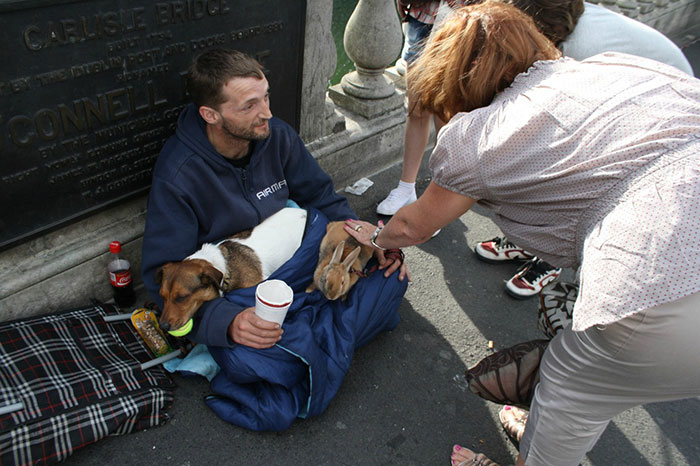 Homeless Man With His Dog And Rabbit