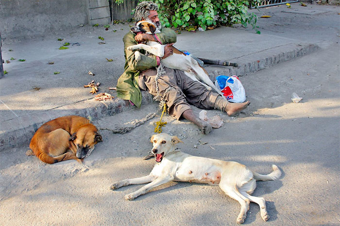 Homeless Man With His 3 Dogs On The Streets Of Lahore