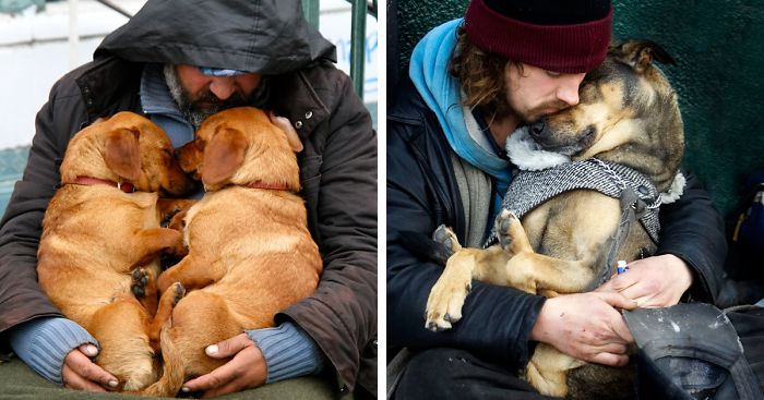49 Photos That Prove Dogs Love You No Matter How Much Money You Don't Have  | Bored Panda