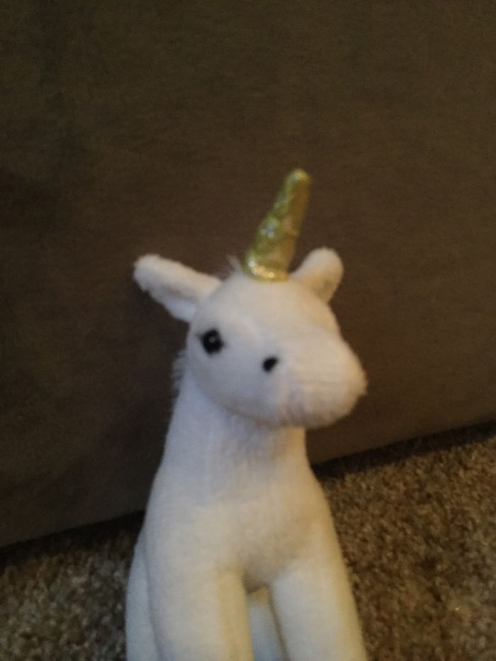 I Adopted A Unicorn