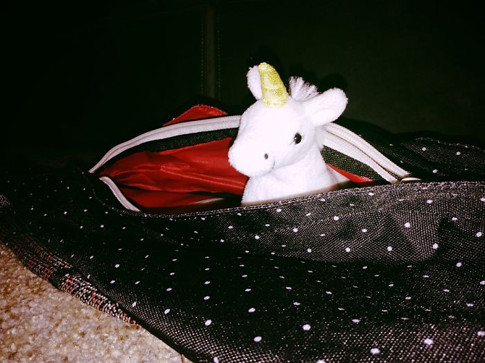I Adopted A Unicorn