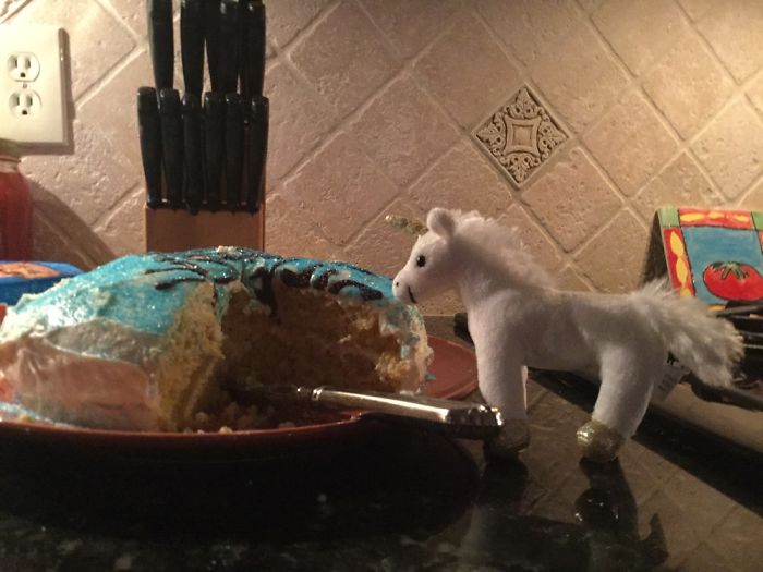 I Adopted A Unicorn