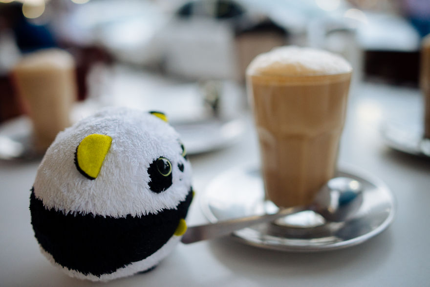 I Take My Pandas With Me On Photographic Adventures