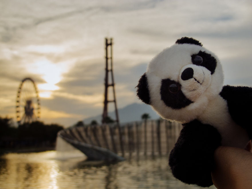I Take My Pandas With Me On Photographic Adventures