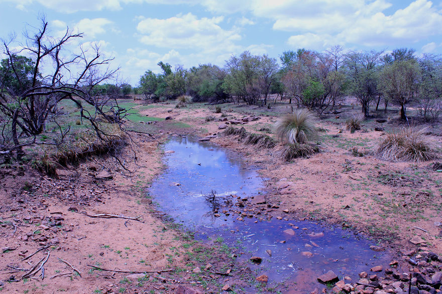 I Photographed How This Dry River Turned Into A Life Giving Source In Less Than 24 Hours