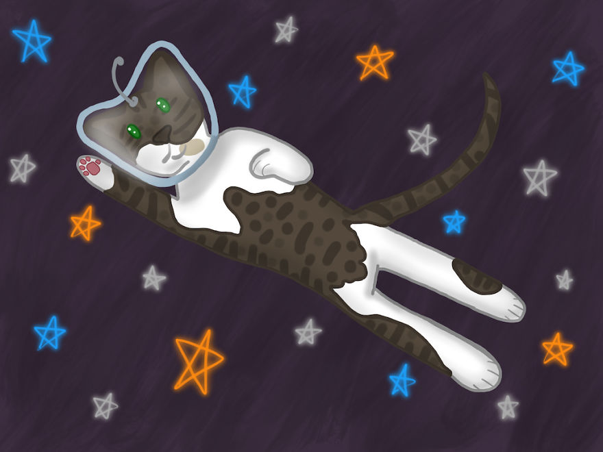 I Send Pets On Illustrated Adventures In Space