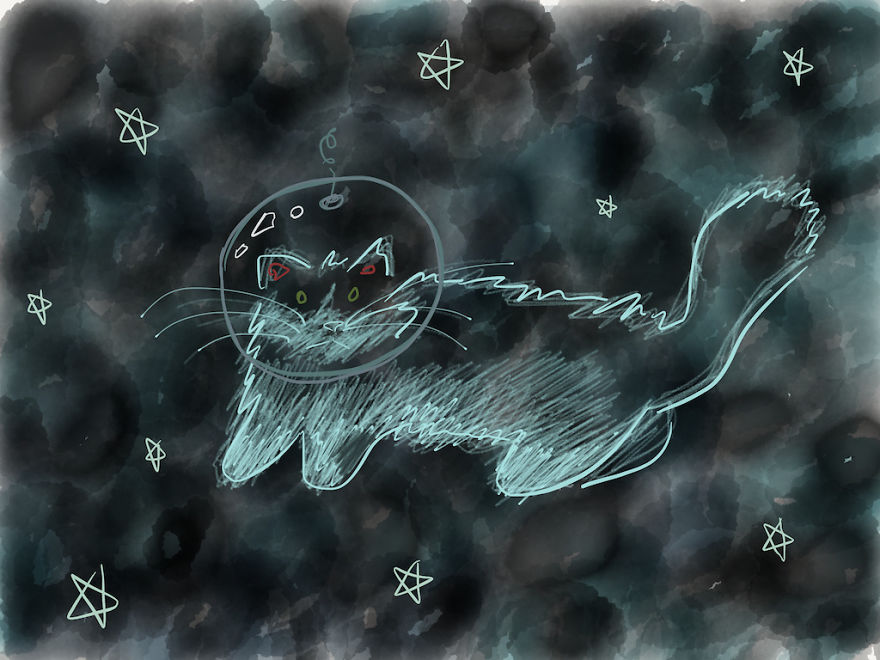 I Send Pets On Illustrated Adventures In Space