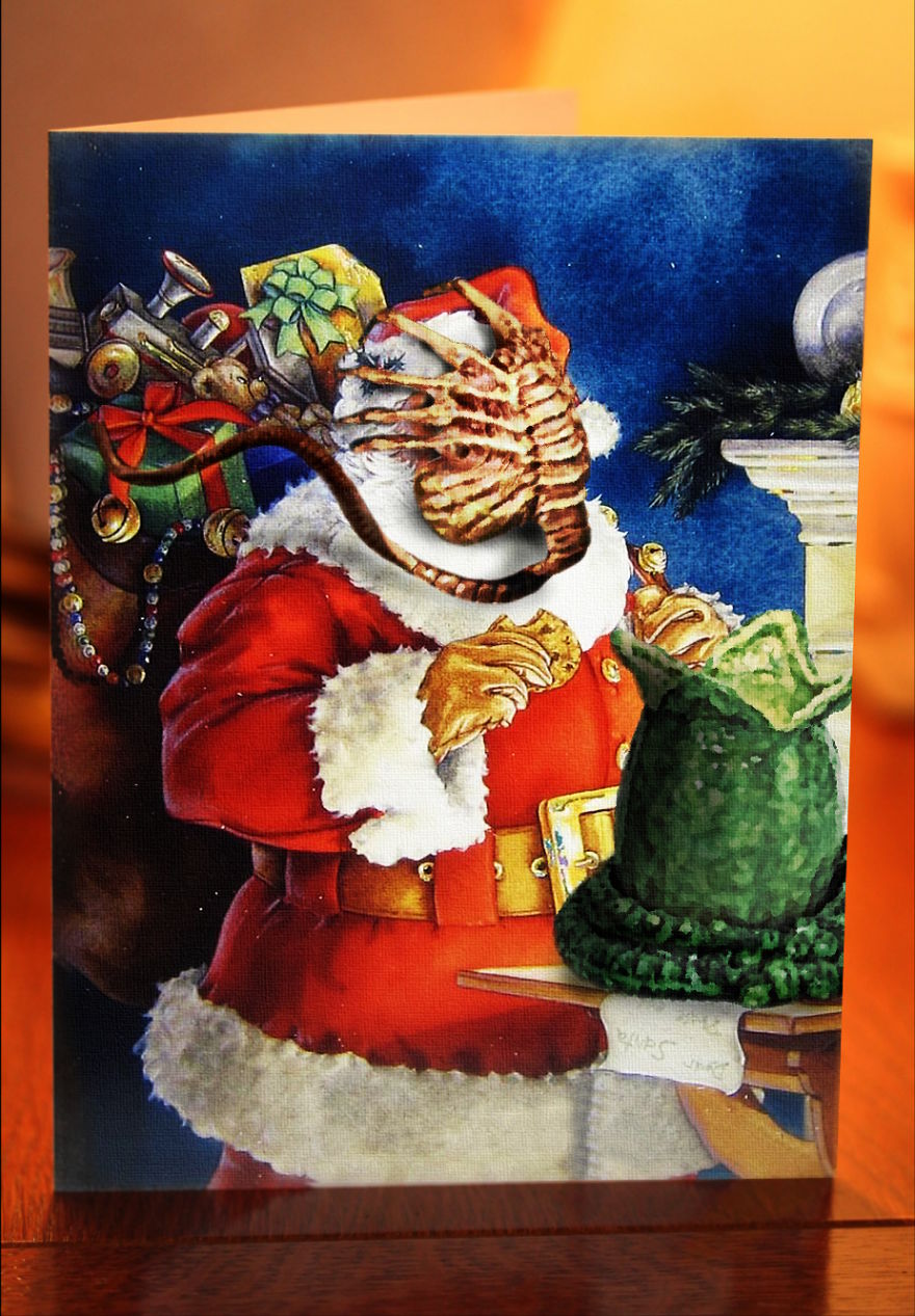 I Spiced Up Holiday Greeting Cards
