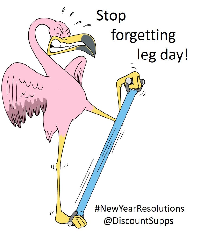 If Animals Had New Year Resolutions What Would They Be?