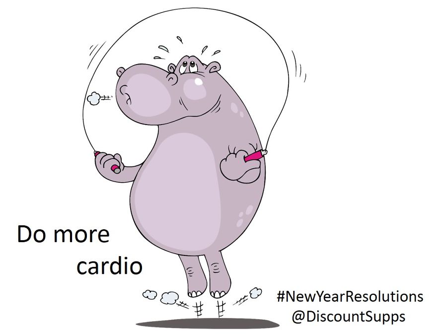 If Animals Had New Year Resolutions What Would They Be?