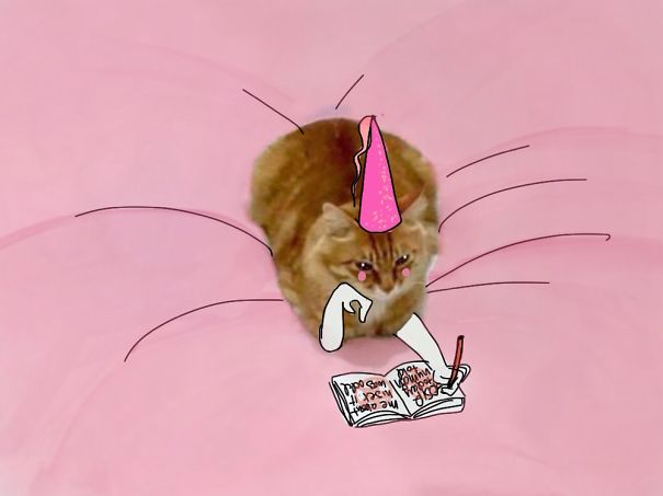 Princess Cat Diaries.