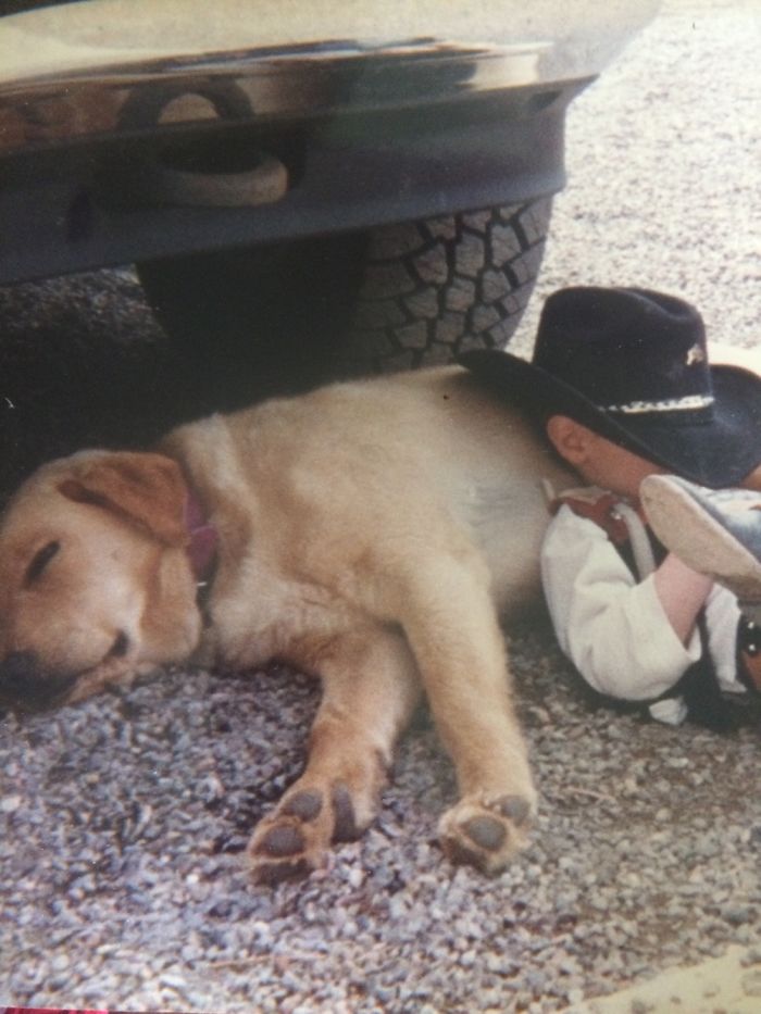 A Cowboy's Best Friend