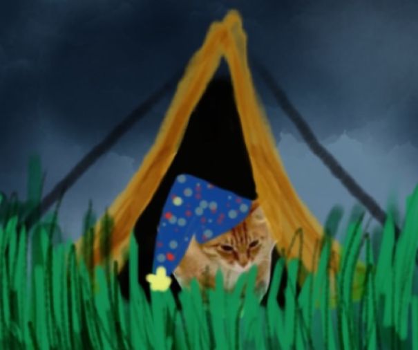 Kitty Camping