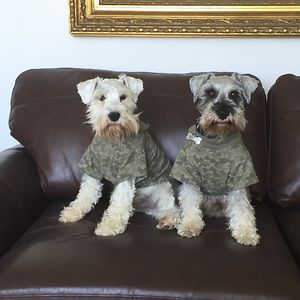 juancarlossaez avatar