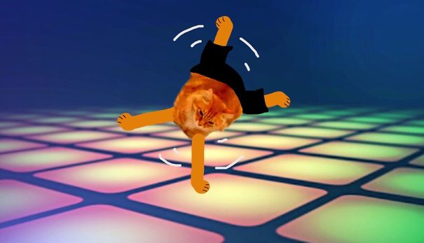 Break Dancing Kitty!