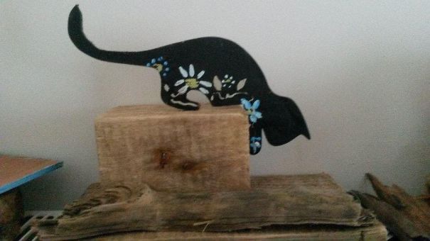 Cat On Driftwood