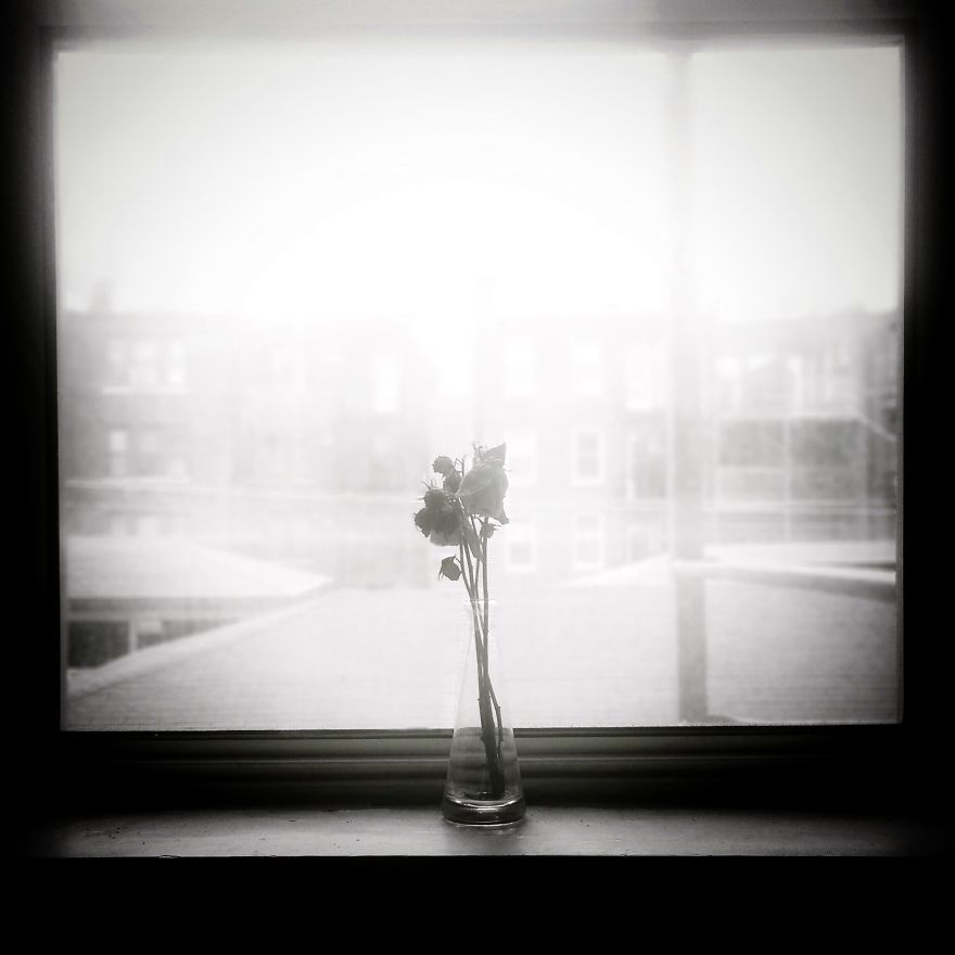 In My Father's Shadow In My Father's Shadow