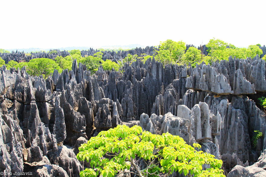 Incredible Madagascar Or The Trip That Left Me Speechless
