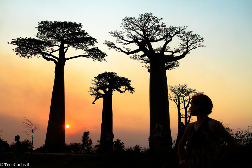 Incredible Madagascar Or The Trip That Left Me Speechless