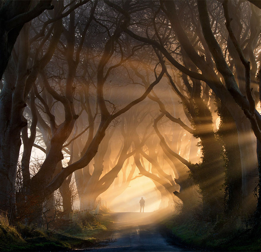 Stunning Tree Tunnel From ‘Game Of Thrones’ In Northern Ireland