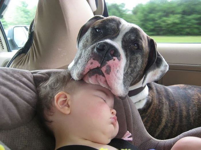 Sleeping Baby With Dog