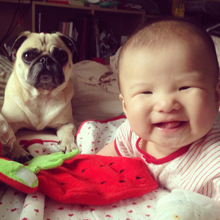 Smiling Baby With His Pug