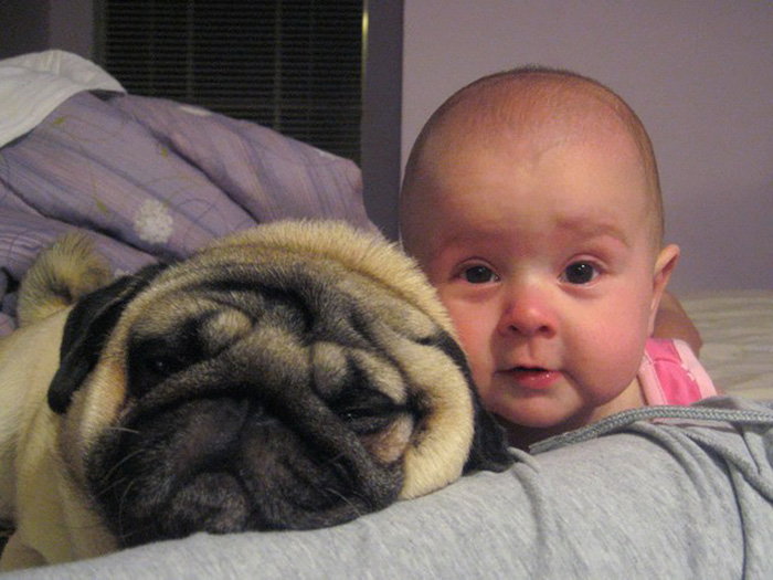 Baby With Pug