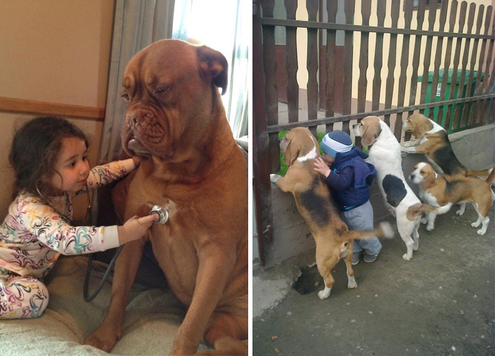 129 Heartwarming Photos Proving That Your Kids Need A Pet