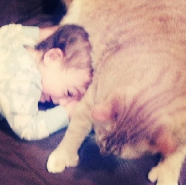 Unwanted Cat Becomes This Little Boy's Guardian, Following Him Everywhere