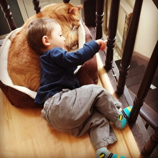 Unwanted Cat Becomes This Little Boy's Guardian, Following Him Everywhere