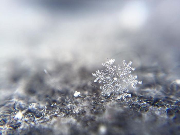 Magic Of Snow: I Try To Capture A Perfect Snowflake