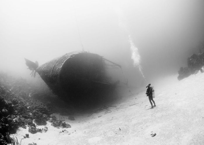 Underwater wreck with scuba diver exploring sea floor, featured in National Geographic top photos for 2015.