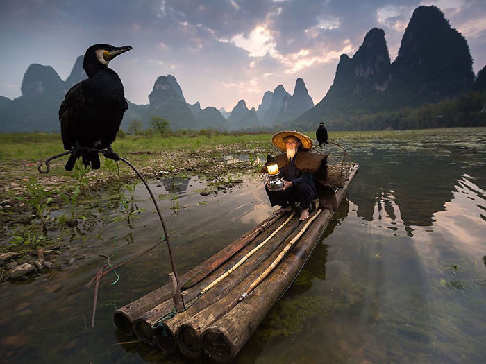 Fisherman on a bamboo raft with cormorants at sunrise in a misty mountainous river, National Geographic photos 2015.