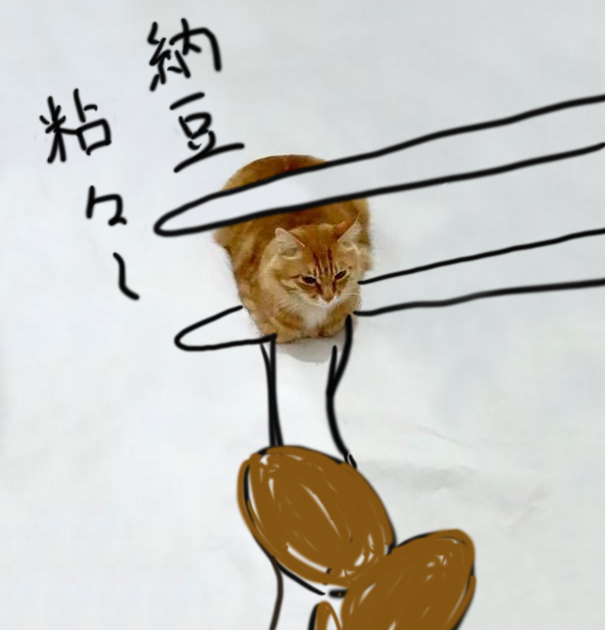 Sticky Natto Cat