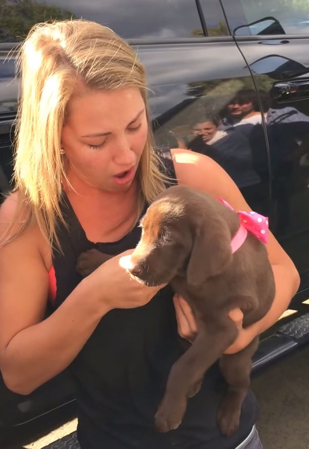 Guy Proposes To His Girlfriend With A Puppy And She Just Can't Hold Her Emotions