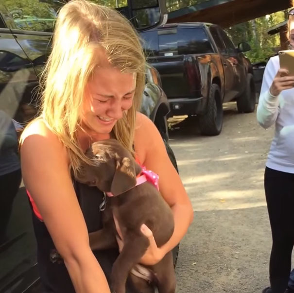 Guy Proposes To His Girlfriend With A Puppy And She Just Can't Hold Her Emotions