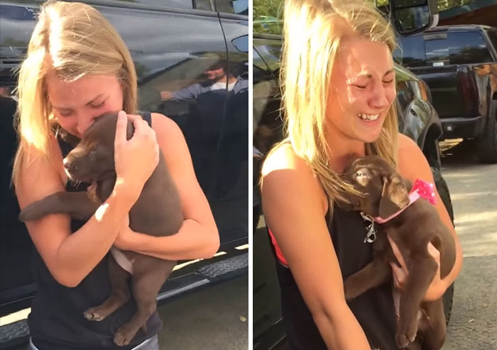 Guy Proposes To His Girlfriend With A Puppy And She Just Can’t Hold Her Emotions