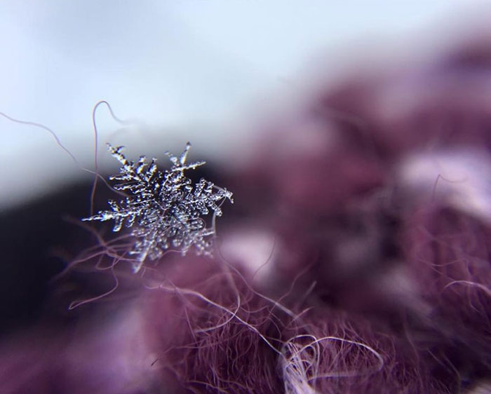snowflakes-3__880